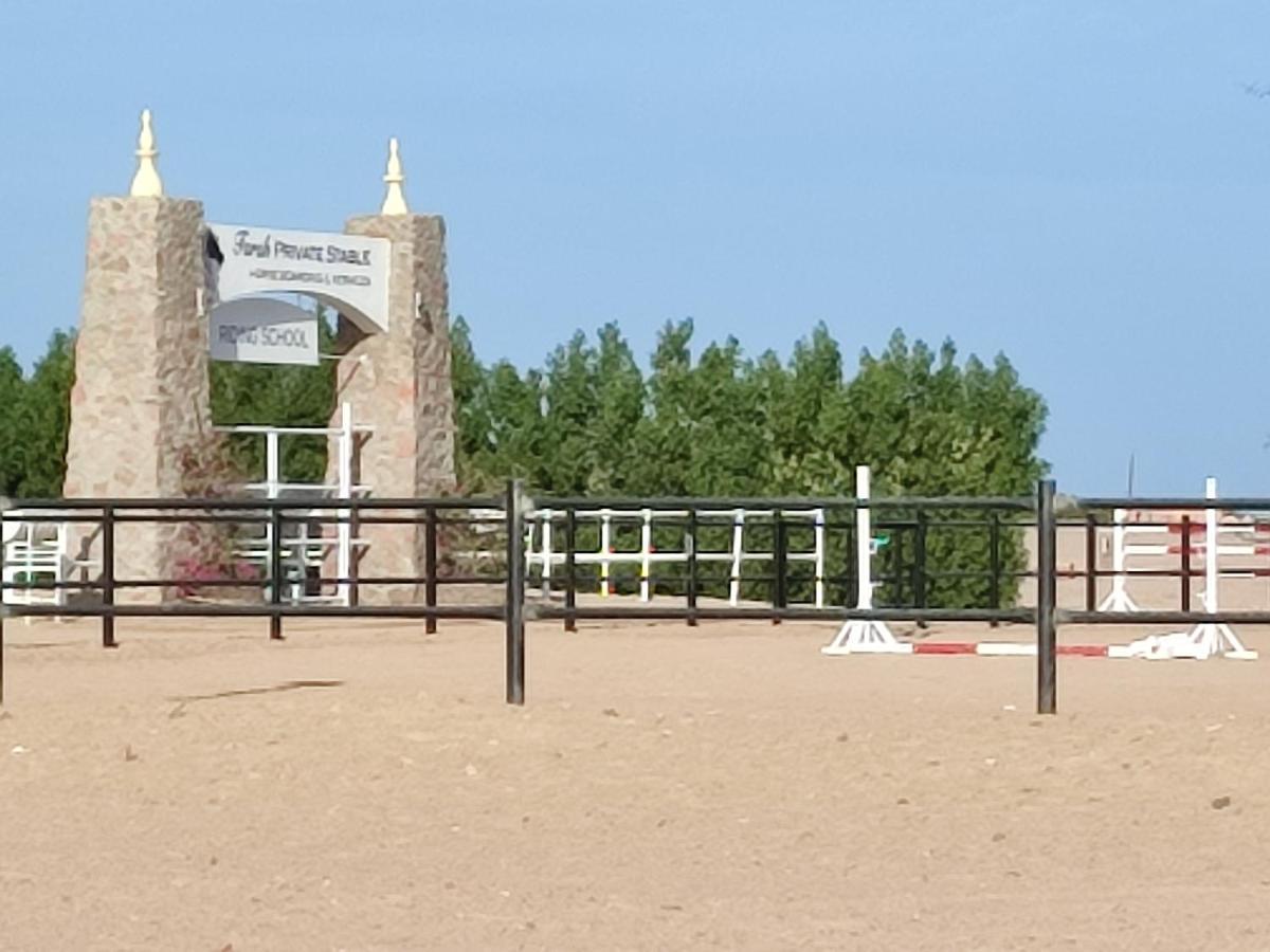 Joynant-Gouna Kite Road-2Room Mangroovy Free Beach Access - Pool View- Хургада Экстерьер фото